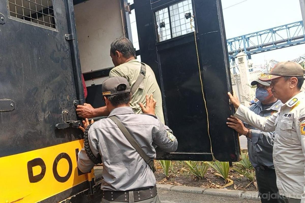 petugas gabungan jaring 12 ppks di penjaringan